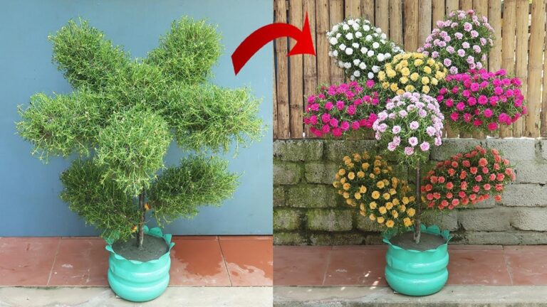 Transform plastic bottles into stunning garden decor… you won’t believe the results!