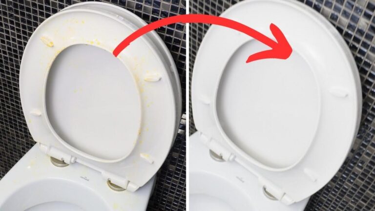 This simple remedy will turn your stained toilet seat sparkling clean…