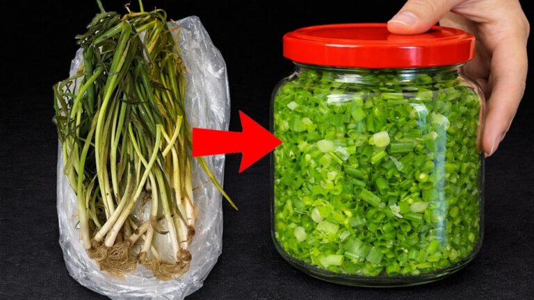 This simple method keeps green onions fresh for weeks… you’ll never waste them again!