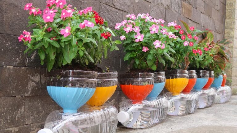 Transform plastic bottles into beautiful flower pots… you’ll be amazed at the results!