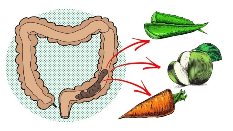 This simple remedy transforms gut health… discover nature’s secret to a happier colon…