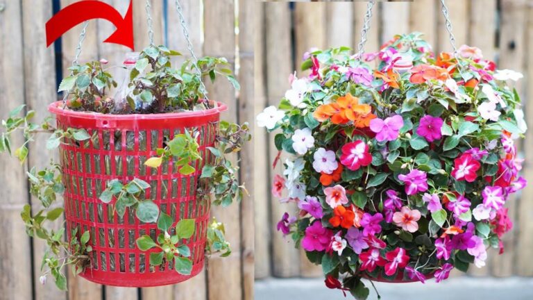 This forgotten trick turns trash into a stunning automatic watering garden…