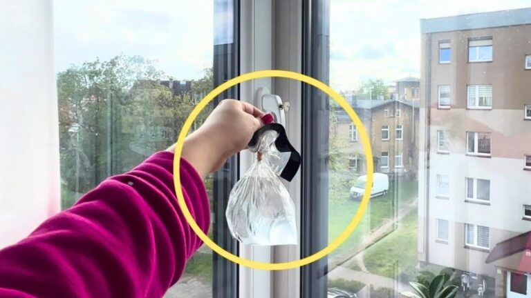 This simple trick by your window can keep flies away for good…