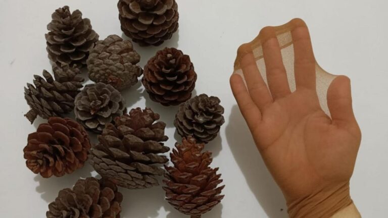 This simple idea transforms pine cones into stunning decor… you won’t want to miss this!