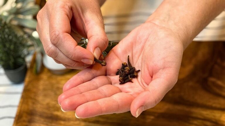 This forgotten trick clears your lungs in three days… you’ll be amazed!