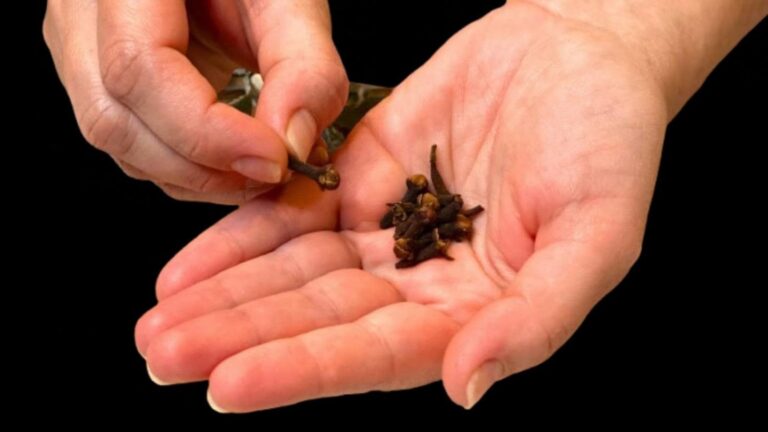 An old trick to clear your lungs and stop coughing faster than you thought…
