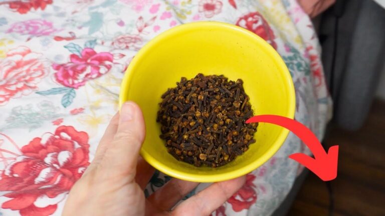 This forgotten trick with cloves under your bed transforms home life…