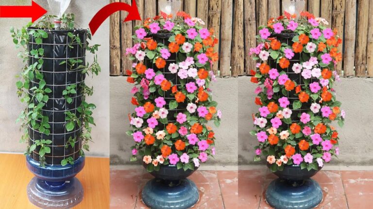 This simple method transforms your garden into a stunning jade flower paradise…