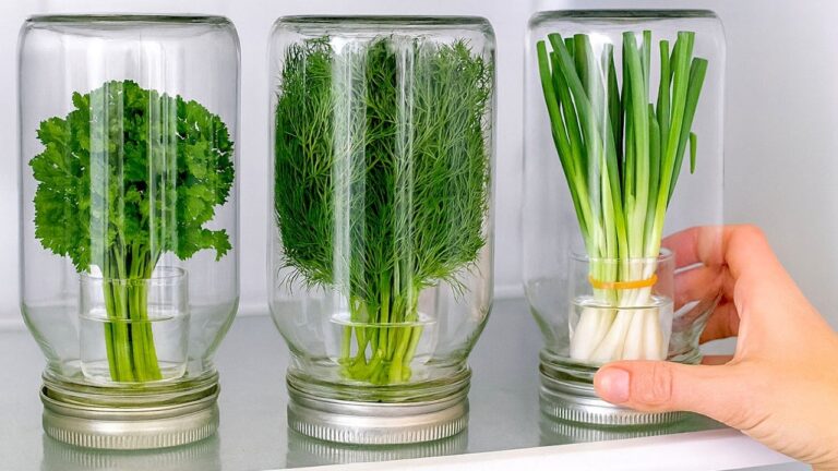 Preserve 7 Fresh Herbs for Months: Chef’s Secrets You Need to Know!