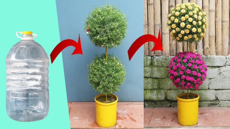 10 Easy Steps to Create a Vertical Garden from Plastic Bottles at Home
