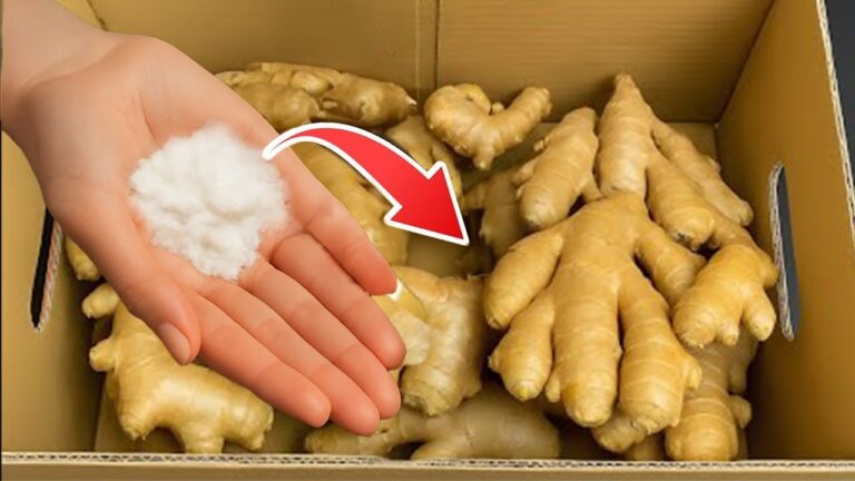Store Fresh Ginger Like a Pro: 5 Simple Tips for 1 Year Without Spoiling!