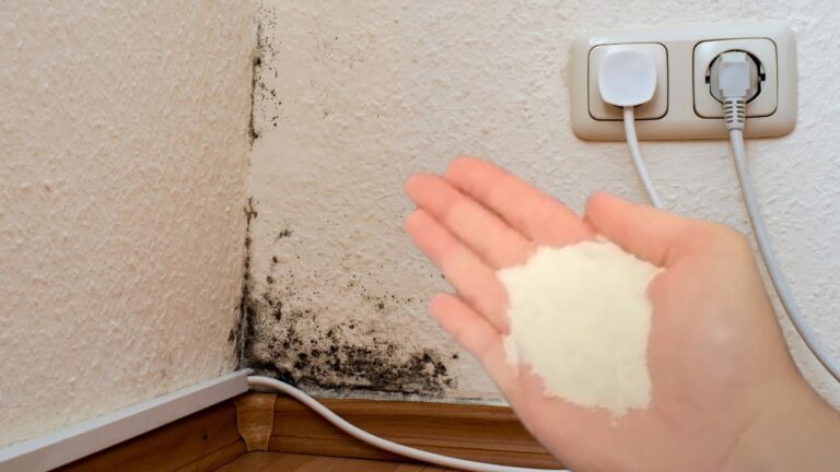 Eliminate Mold in 5 Minutes: Simple Spray Solution for Instant Results!