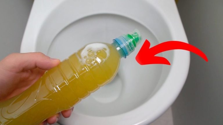 The Secret Plumbers Hide: An Unexpected Twist in Your Toilet Setup