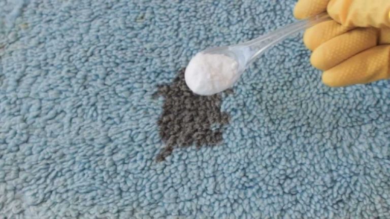 Remove Any Stain from Your Carpet: Don’t Waste Money on Cleaners – Use This Instead