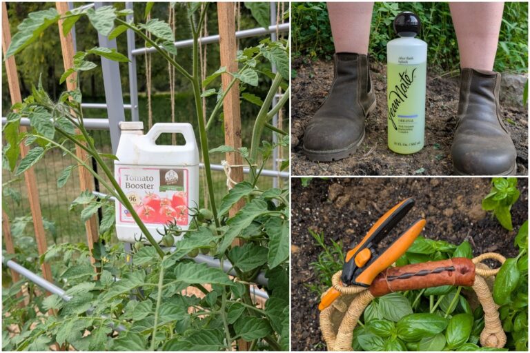 Top Gardening Products I Can’t Live Without in 2025