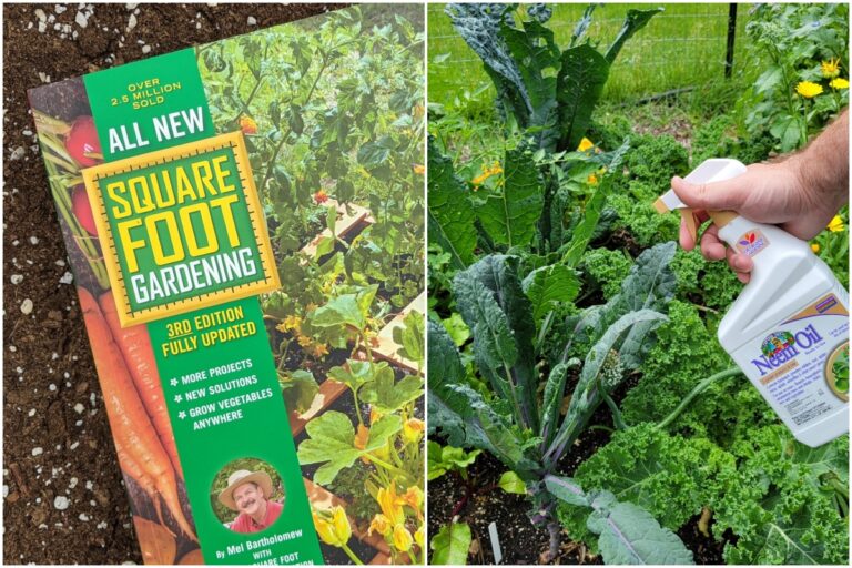 5 Gardening Trends I’m Leaving Behind for a Thriving Garden