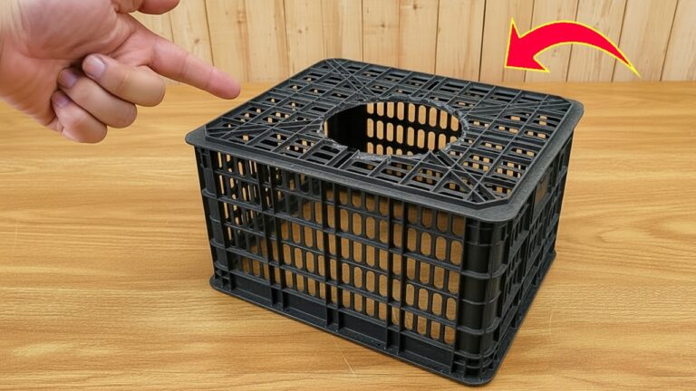 10 Brilliant Ways to Reuse Old Plastic Fruit Containers for DIY Projects
