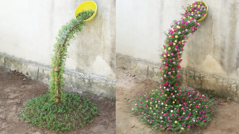 10 Stunning Portulaca Ideas for Your Dream Waterfall Garden!