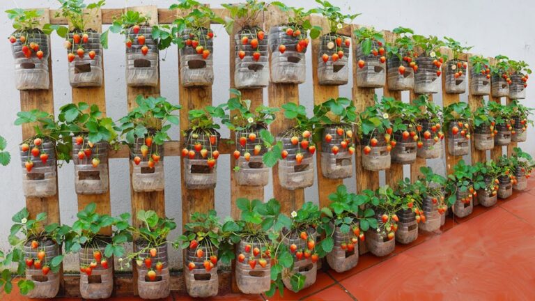 10 Easy Steps to Create a Thriving Strawberry Garden from Pallets