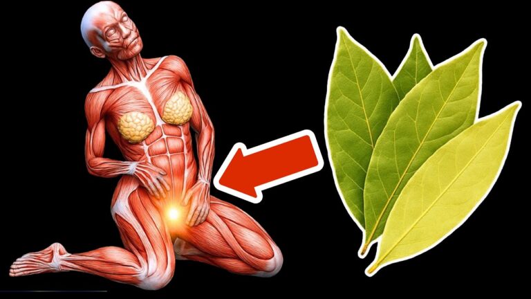 Discover 7 Surprising Benefits of Drinking Bay Leaf Tea Daily!