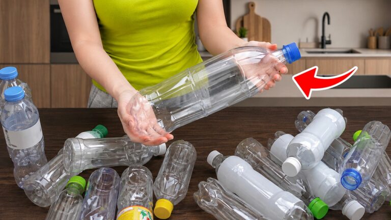 10 Genius Ways to Recycle Plastic Bottles You’ll Love to Try Today!