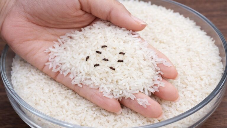Eliminate Weevils in Rice: 2-Minute Trick You Must Try!