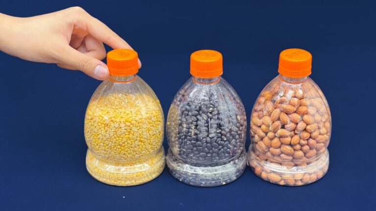 6 Genius Ways to Upcycle Plastic Bottles You Need to Try Now!