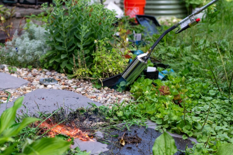 The Ultimate Guide to Using a Propane Weed Torch for Your Garden