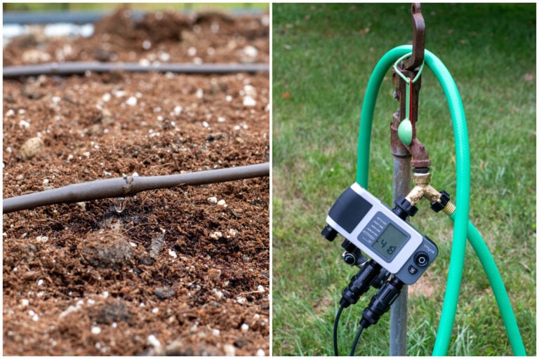 Hands-Free Tips for Perfectly Watering Raised Garden Beds