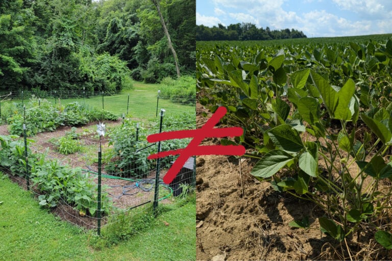 The Case Against Crop Rotation for Home Gardeners