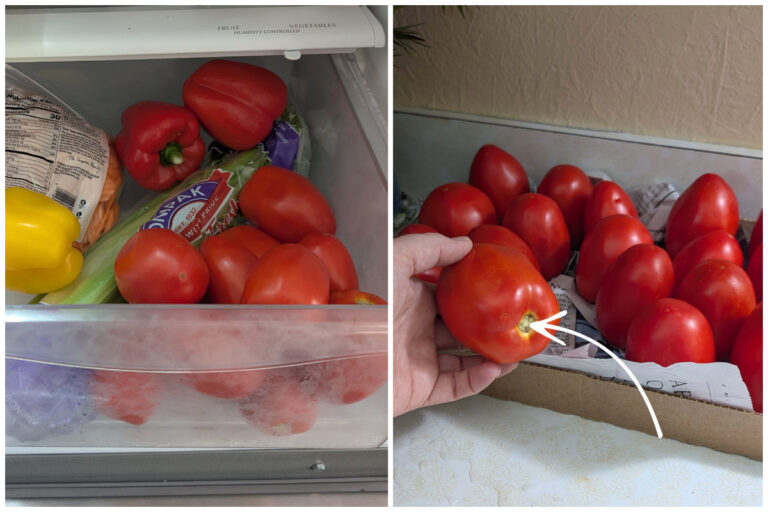 Stop Wasting Tomatoes! Here’s How to Store Them Right